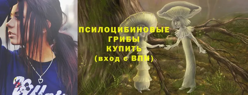 наркота  Зеленокумск  Галлюциногенные грибы Magic Shrooms 